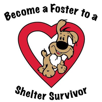 Fosters Needed - Pawprints on My Heart Animal Rescue, Inc.